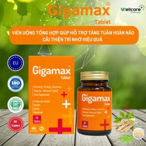 GIGAMAX 30 Tablet – Viên uống tổng hợp giúp hỗ trợ tăng tuần hoàn máu não, cải thiện trí nhớ hiệu quả