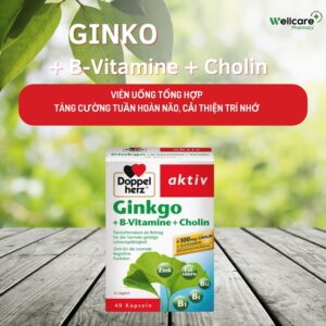 GINKO + VITAMIN B + CHOLINE 30 VIÊN – Giúp tăng tuần hoàn máu não, cải thiện trí nhớ.