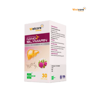 Nano Silymarin Wellcare - Hỗ trợ bảo vệ gan, tăng cường chức năng gan (Hộp 30 viên)